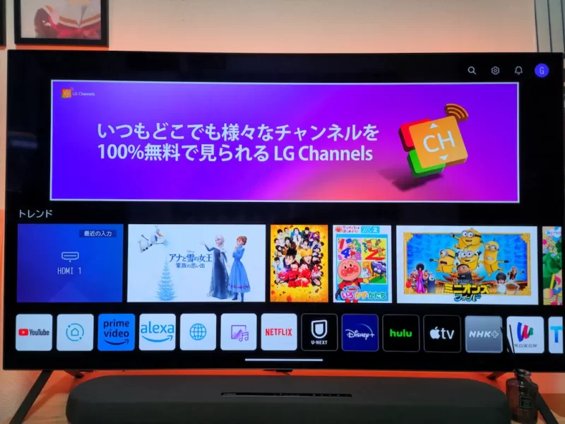 長期レビュー】LG OLED55A2PJA : Amazonセールで10万を切る有機ELテレビを1年使った感想 | もちゅガジェ