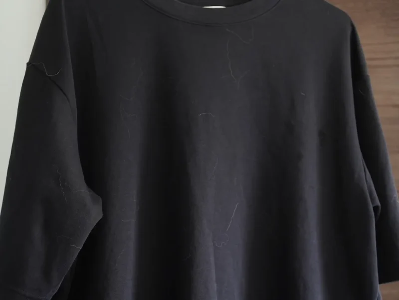 Tシャツ : Before2